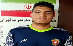 محمد حسین سرآبادانی