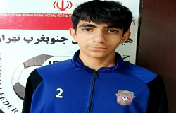 محمد رضا علائی