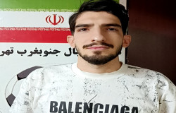 امیر کیان پیک حرفه