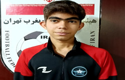 محمدطاها دانشور ارجمند