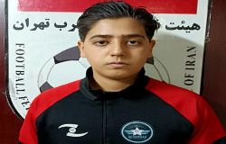 محمد حسین جعفری