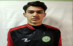 طاها شفیعی