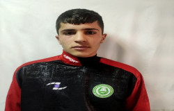 محمدجواد ولی زاده