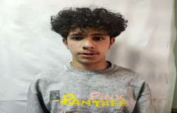 محمد مهدی حقی