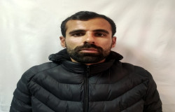 میلاد مولوی