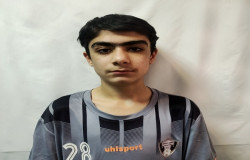 باربد فرجی