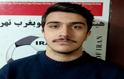 محمد امین ادیبی