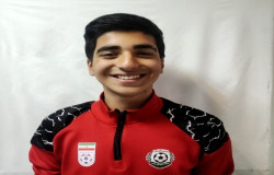 علی نایبی