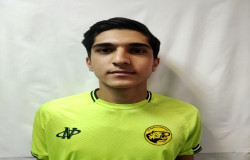 محمد امین افسر