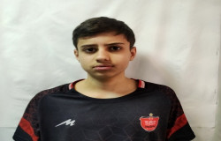سید امیر طاها حسینی
