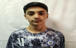 محمد شاه محمدی