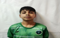 سینا پیروزفر