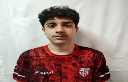 آرتین کاپله