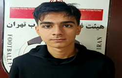 مهرشاد حکیمی