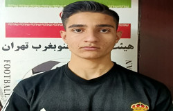 ابوالفضل محمدی