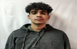 آرتین داودی