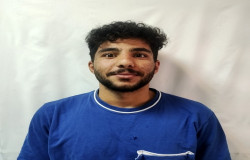 حامد شریفی
