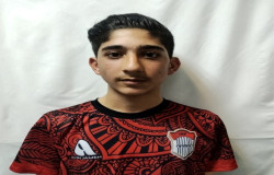 محمدعلی غریبی