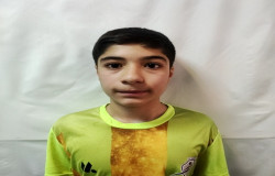 سید امیرمحمد روشندل