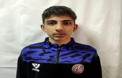 مجتبی زبردست