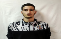 محمد سینا دلشاد