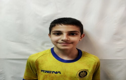 آراد افشار