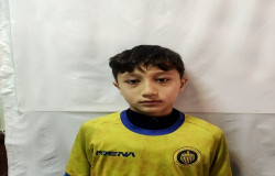 ماهان محمدی