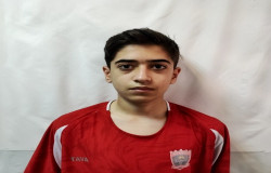 محمدپرهام نجفی