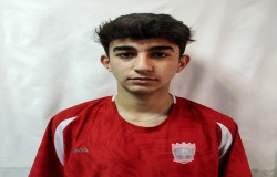 ایلیا ولی زاده