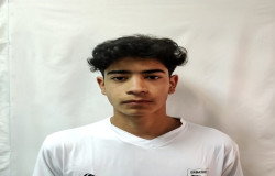 محمد جواد یرلی