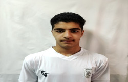 محمد سلطانی