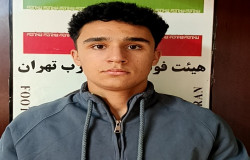 اریا بخشی