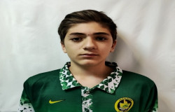 امیرحسین اسفندیاری