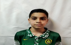 محمد مهدی آئینی