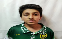 ماهان محمودی