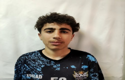 آرمین چهاردولی