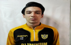 محمدرضا صالح نیا