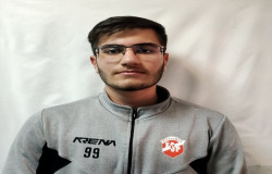 پارسا نجفی