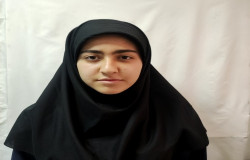 پانیذ نظری ذلانی