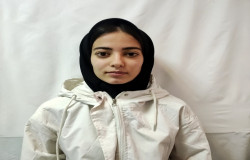 مهدیا نامی میاردان