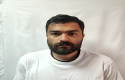 بردیا شاملو