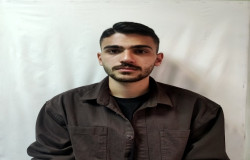داوین بقائی رود سری