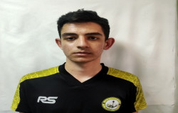 آرتین دلبر نسب