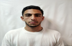 امیر مهدی شکوری