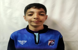 محمد پرهام پهلوانی