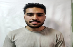 شاهین پهلوانی