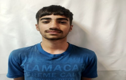 پویا کریمی