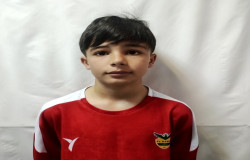 علی خواجوی