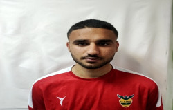 محمد عالی پور