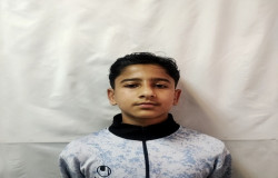 بهراد امینی پژوه